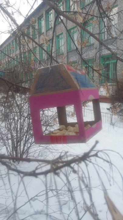 Помогите перезимовать птицам