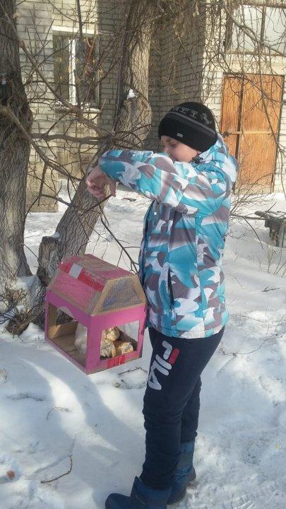 Помогите перезимовать птицам