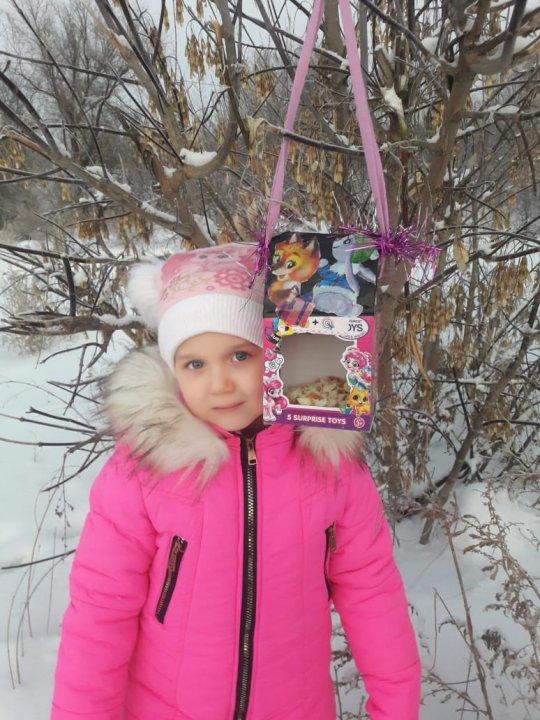 Помогите перезимовать птицам
